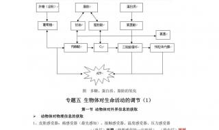 高中生物景天科植物知识点 高二生物知识点总结