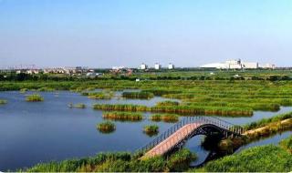 宜居城市特点 中国宜居城市研究报告